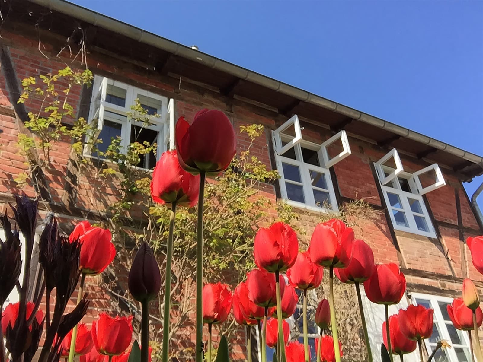Kutscherhaus im Frühling